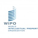 wipo 855x345.jpg